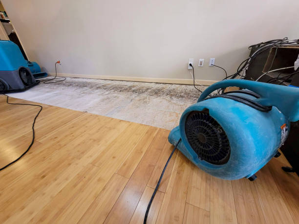 Professional Flood Damage Cleanup technician working in Conway, PA
